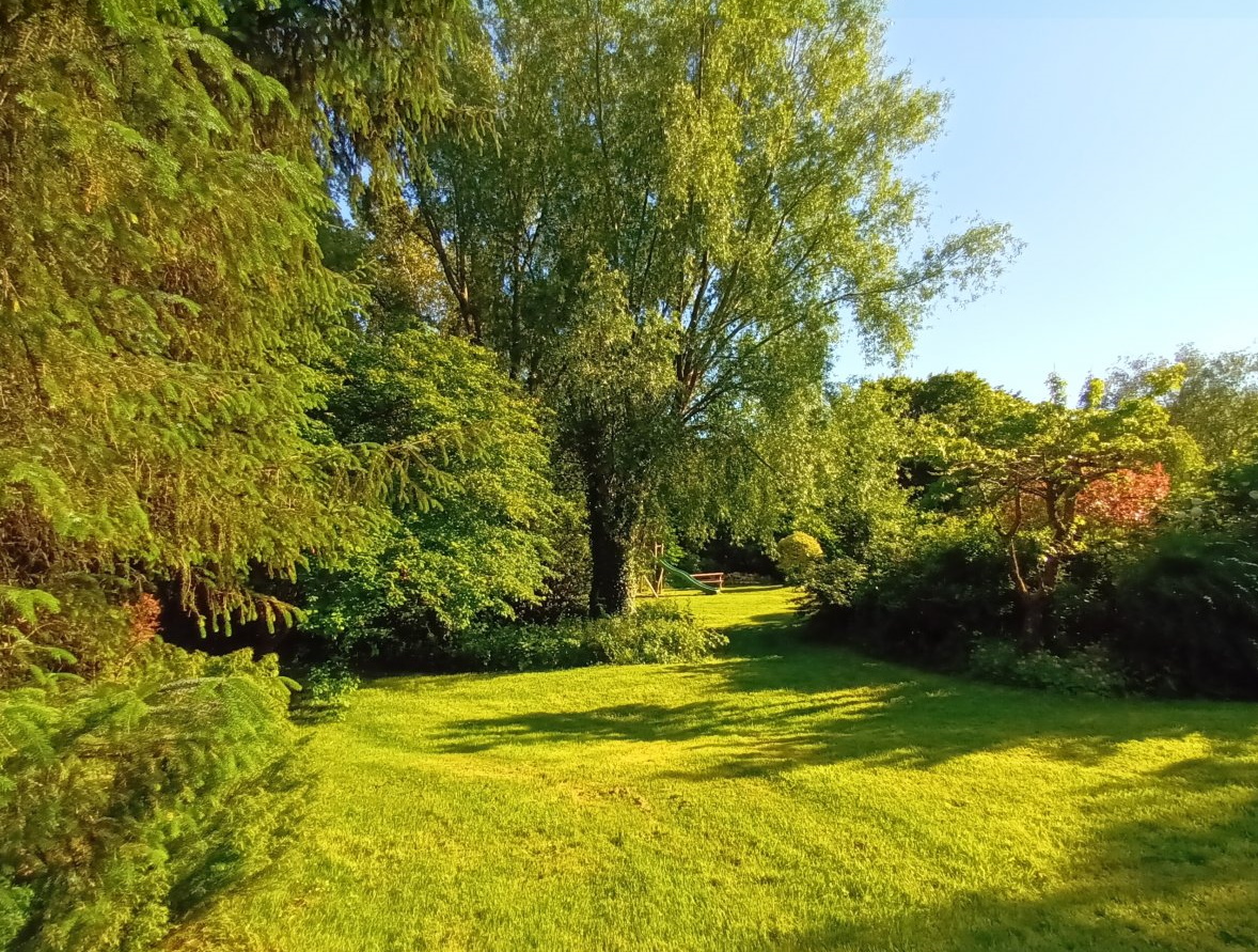 Lower Hearson Cottages - well kept grounds surround the cottages